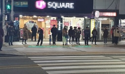 서귀포시, 횡단보도 바닥신호등 도입추진…스몸비족 사고 예방