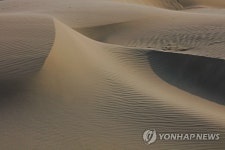 바람이 빚은 지상 최대 예술품…우이도 풍성사구