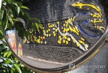 더이상은 일그러지지 않도록