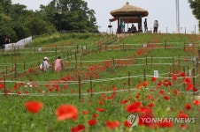 여름으로 가는 길