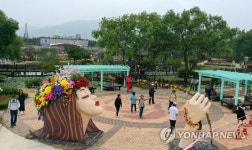 곡성기차마을 장미공원 풍경