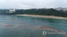 괭생이모자반의 제주 해안 침공