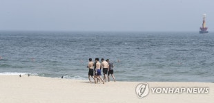 시원한 여름바다