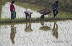 환경의 날, 우리 논은 친환경으로