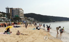 태안 만리포해수욕장 찾은 피서객