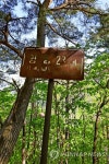 옛 국도 이정표(영양 28㎞)