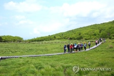 람사르 습지 국내 1호 인제 대암산 용늪 생태 탐방 재개