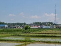 파주 대성동마을서 구석기시대 뗀석기 등 유물 수습