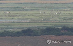 평온해 보이는 개풍군 마을