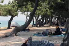 불볕더위에는 바닷가 숲이 최고
