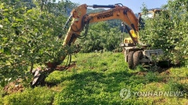 충주 과수화상병 확산