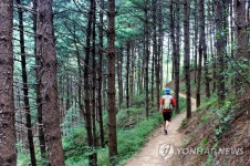 원주 굽잇길 30개 코스 400㎞ 전 구간 8월 개통