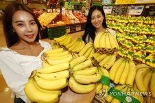 고산지에서 키운 베트남산 바나나가 왔어요