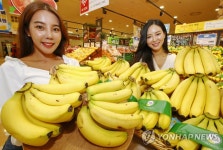 롯데마트, 베트남산 고산지 바나나 판매