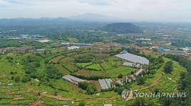 망자의 안식처가 된 제주 오름…무덤 3천여기 자리