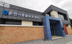 춘천시 반려동물 동행 플랫폼 비전 선포식