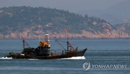 대연평도에서 바라본 북한 장재도 포문