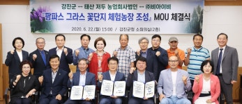 강진군, 팜파스 그라스 꽃 단지 체험농장 조성 업무협약