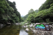 이재명 청정계곡 복원지역 전폭적 지원할 것