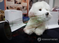 샤워 후 보송하게 말려주세요