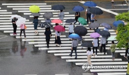 횡단보도 건너는 우산 행렬
