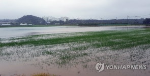 250㎜ 폭우에 강원 곳곳 침수·토사 유출 피해