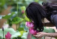 마스크 너머의 연꽃 향