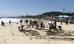 남애1리 해양쓰레기 수거 활동