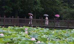 연꽃 따라 걷기