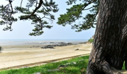 [고창소식] 구시포·동호 해수욕장 9일 개장…코로나19 방역 강화