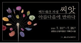 강원도산림박물관 백두대간 자생 씨앗 전시회 26일까지 개최