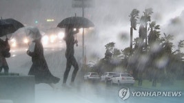 집중호우로 전남서 주택·양계장 침수 피해
