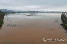 장맛비에 황톳빛 호수로 변한 들녘…누렇게 타들어가는 농심