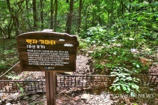 백자 가마터