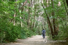 백두대간 고갯길, 하늘재 길