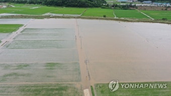 전남 무안 지역 폭우로 1명 사망…극한 호우로 2500명 대피