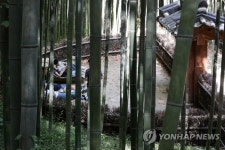 대나무 숲 쉼터