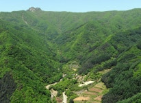 홍천군 가리산자연휴앙림 대폭 개선…피서철 주말 예약 끝나