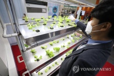 스마트팜에 몰린 관심