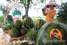 제주 신엄리 수박 직거래장터