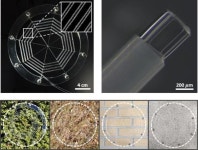 서울대 연구팀, 거미 먹잇감 포획 행동 본뜬 거미줄 로봇 개발