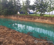 오염물질로 뒤덮인 용인 남사 통삼천