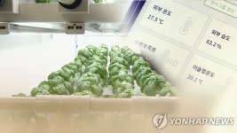 소규모 비닐하우스에 보급형 스마트팜 도입 효과 좋네