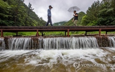 장마속 계곡 산책
