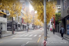 법정도로 된 강남구 가로수길, 도로표지판 싹 바뀌어