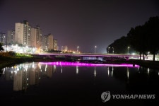 증평 보강천 야경