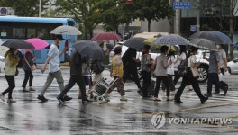 비 오는 부산 동래역 횡단보도