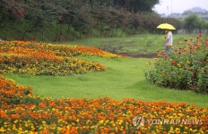 꽃길 산책