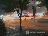물바다 된 센텀시티