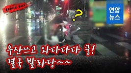[블랙박스] 횡단보도 잘 건너가다가 서 있던 버스에 쿵